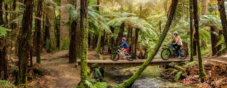 Child and parent riding on a track in the New Zealand bush
