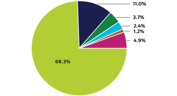 Pie chart depicting ethnicity of our leadership.