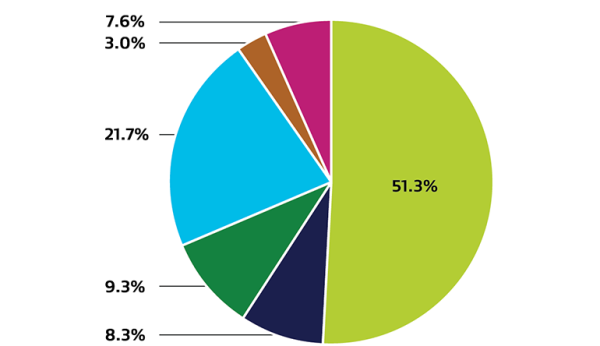 Pie chart displaying ethnicity of our workforce.