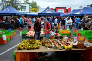 Two people at a farmers market looking at fruit.