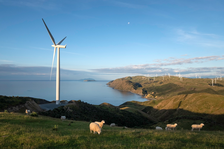 Aotearoa New Zealand coastal landscape with hills, sheep and wind turbines.