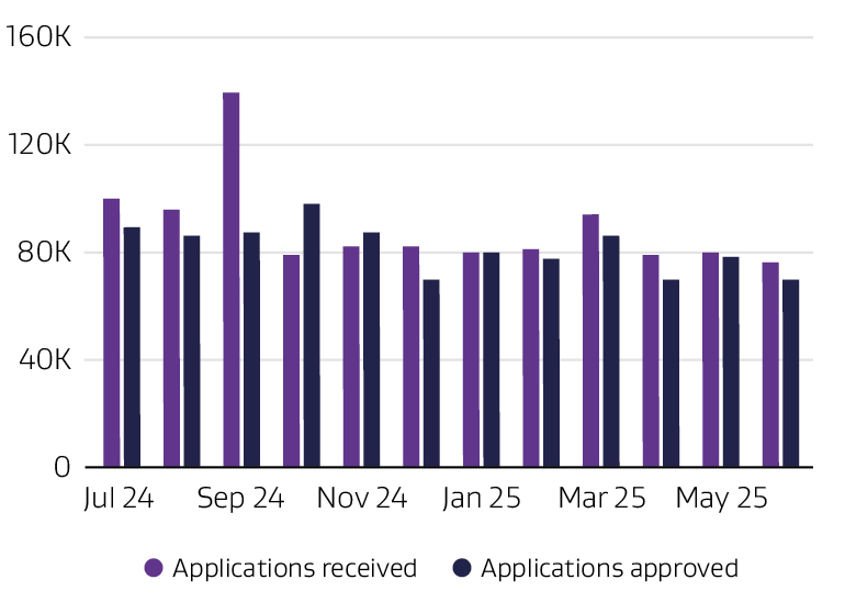 Bar graph depicting the number of visa applications received and approved by month.