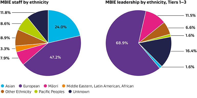 Pie charts depicting percentage of MBIE staff and leadership by ethnicity.