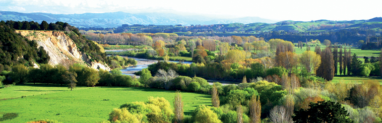 Decorative image: picture of a Manawatu farm