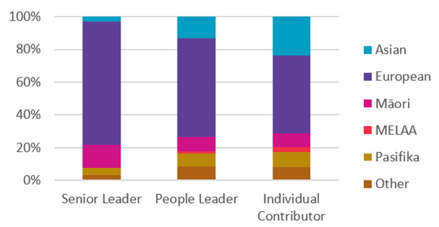 Ethnic representation by seniority graph