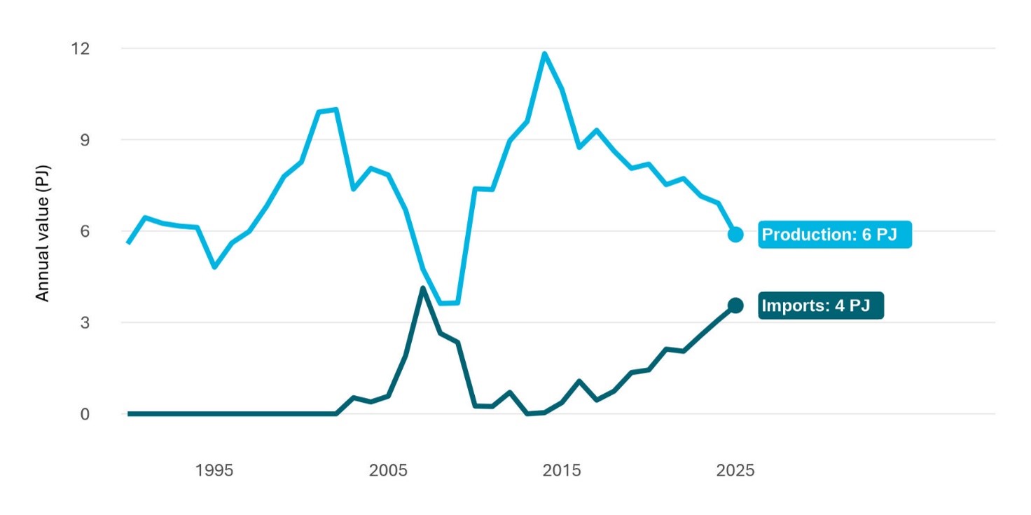 A line graph showing LPG production and imports per year. LPG production has gradually decreased, and imports have increased to meet demand.