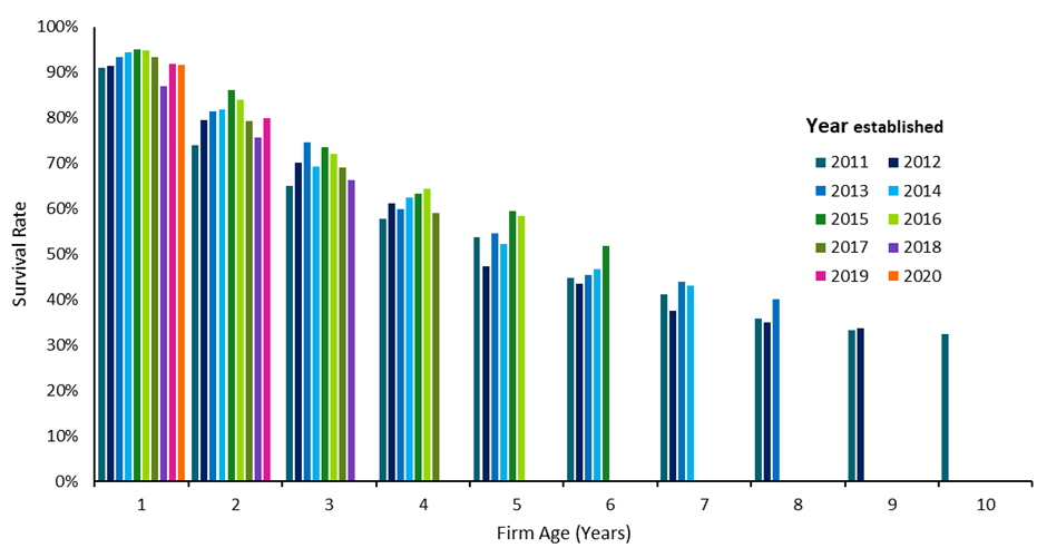 Chart illustrating survival rate of screen sector firms established in years 2011 to 2021.