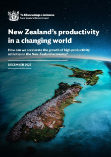 Long-term insights briefing 2025 cover page