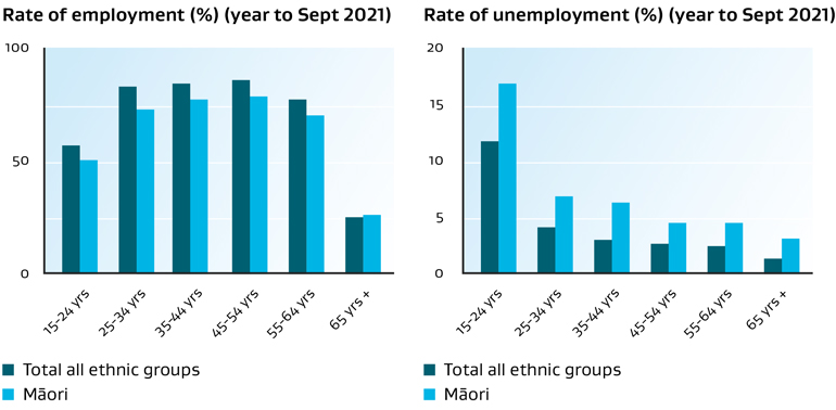 Bar graphs of the rates of employment and unemployment