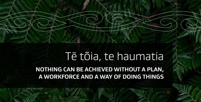 A whakataukī on dark fern background. "Tē tōia, te haumatia  Nothing can be achieved without a plan, a workforce and a way of doing things" 