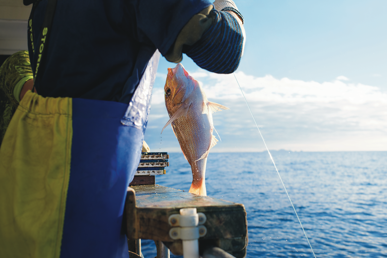 Close up of fish held by a person.