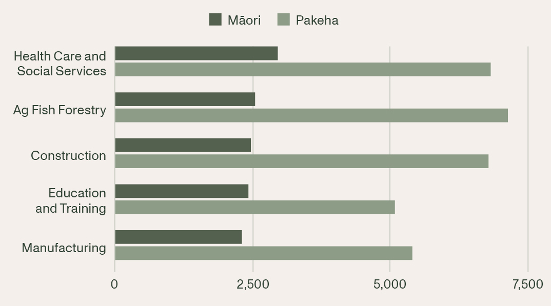 Bar graph showing employing sectors by Māori and Pākehā