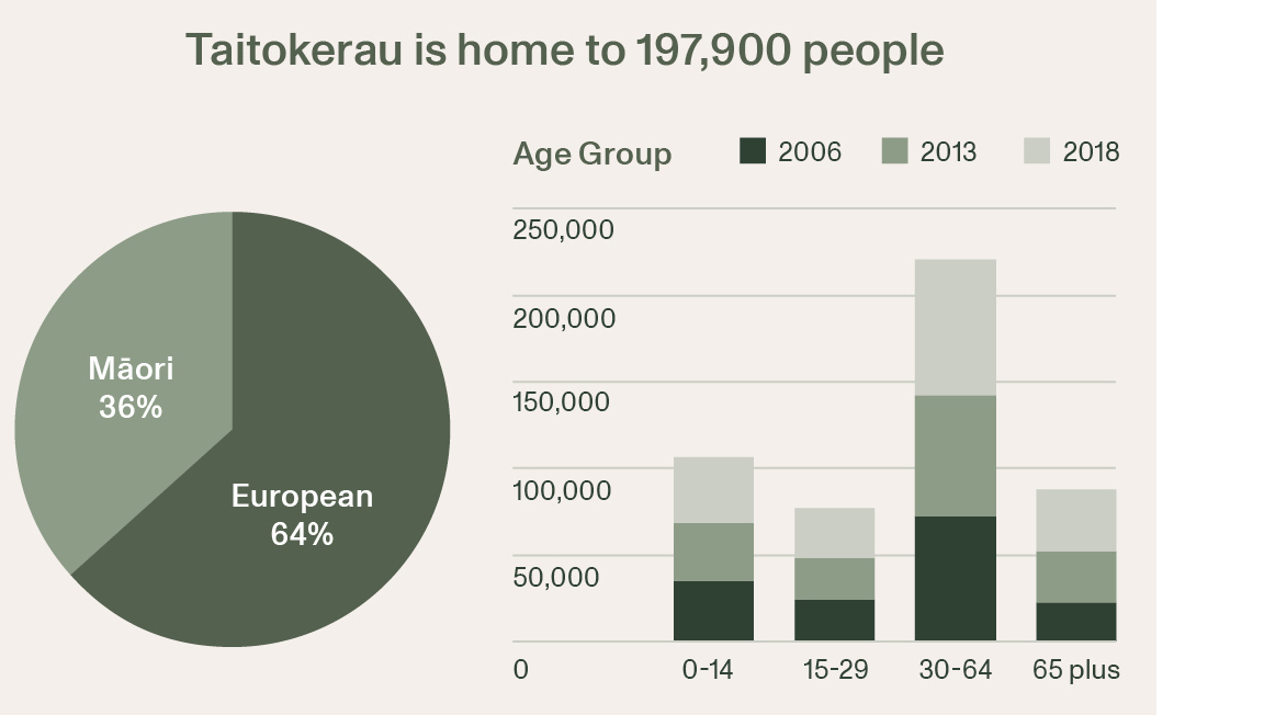 Pie graph and bar graph of age groups and Māori and European labour.