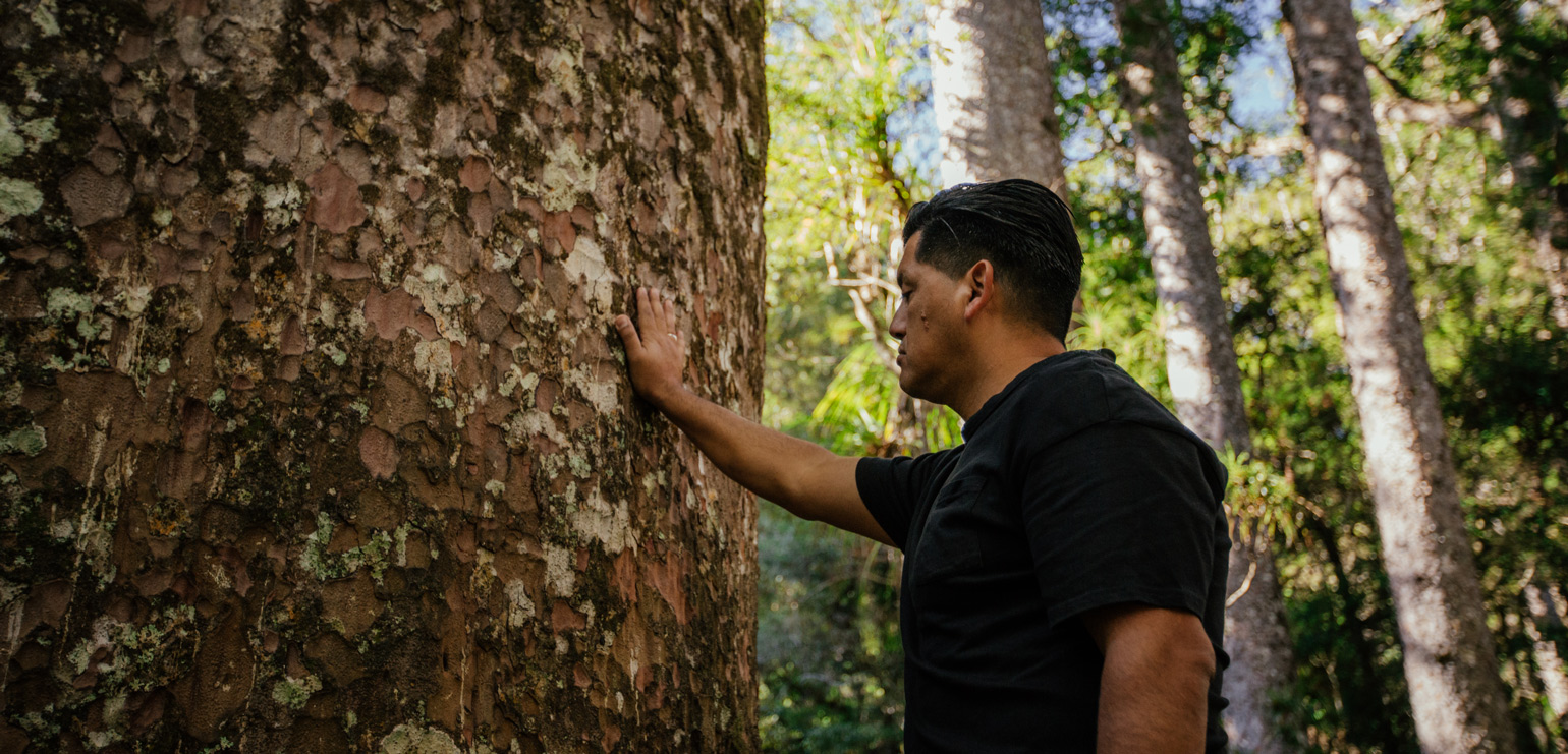 Man standing in forest with eyes closed, placing his hand on large tree trunk.