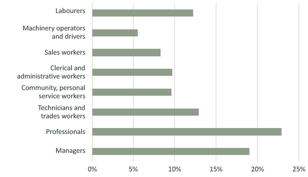 Bar graph of Northland Region workforce skills