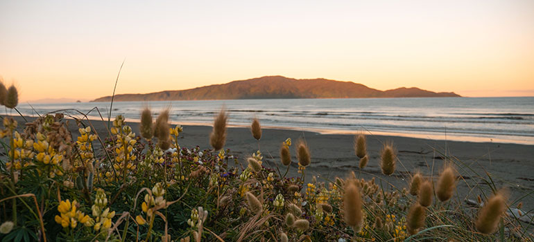 A photo from the dunes on Paraparaumu Beach looking out to Kāpiti Island 