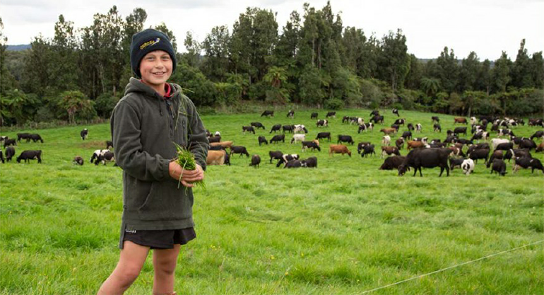 A boy in a paddock of lush grass with cows in the background