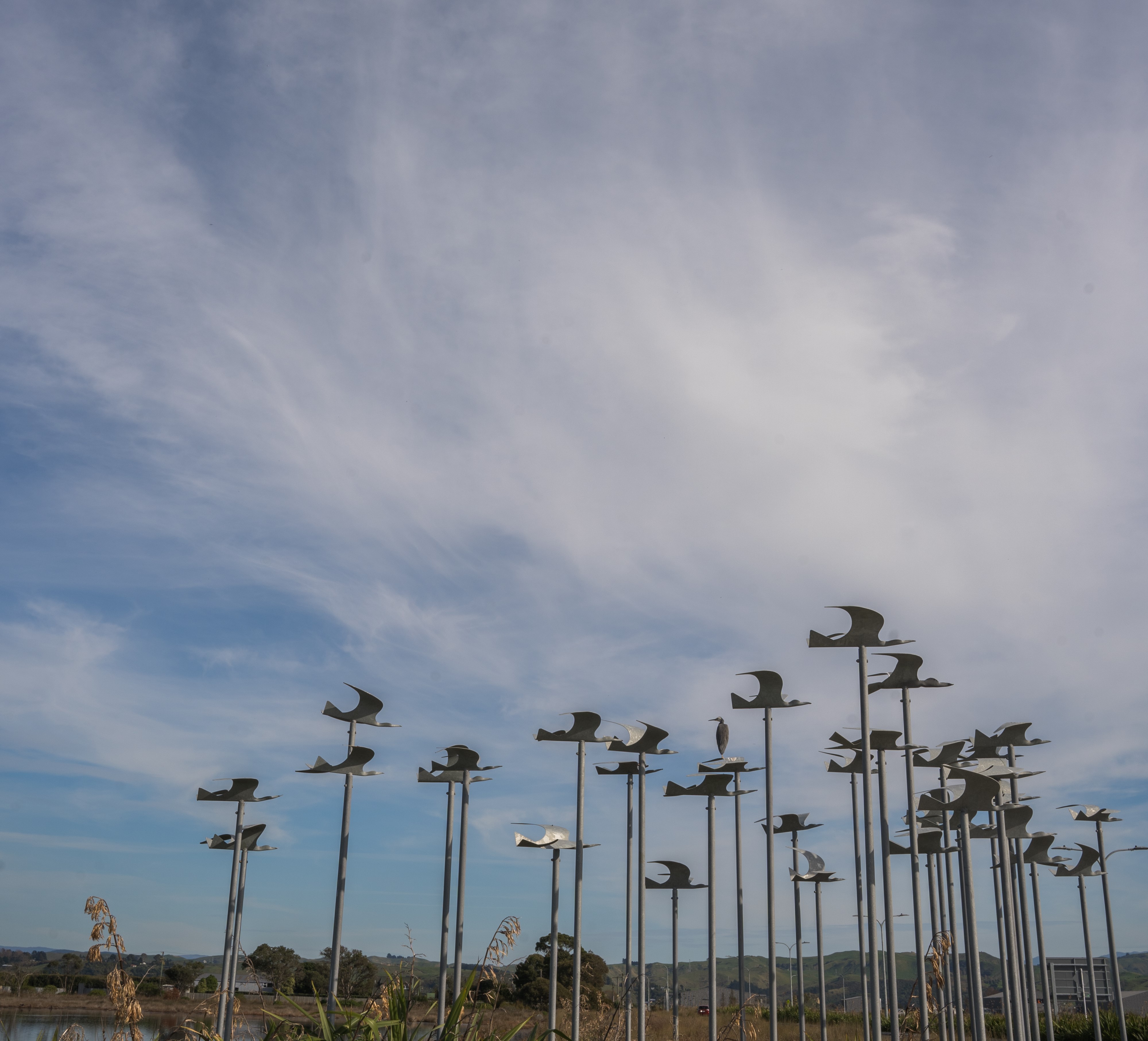 Flock of metal bird sculptures being held in the air by metal poles located close to Napier Airport.