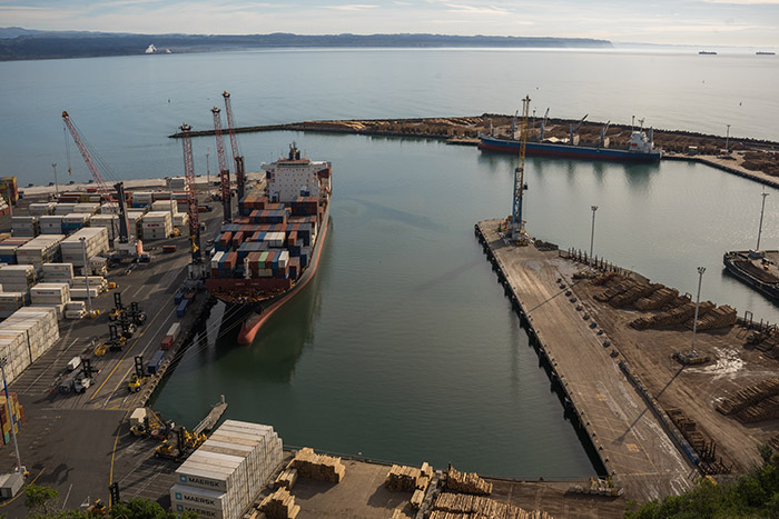 Napier Port with docked container ship