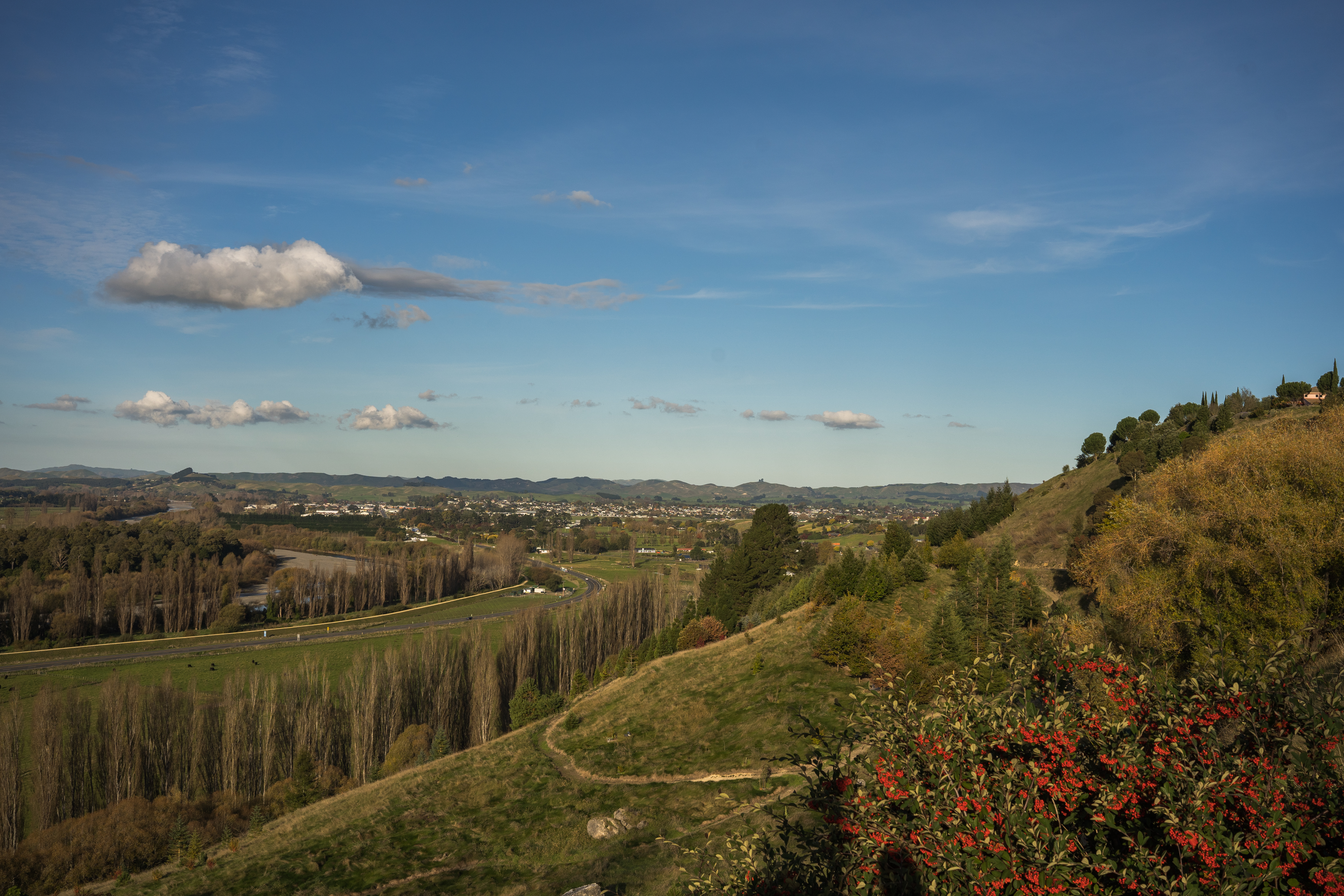 Looking out over Central Hawke’s Bay hills and farm land from Pukeora hill.