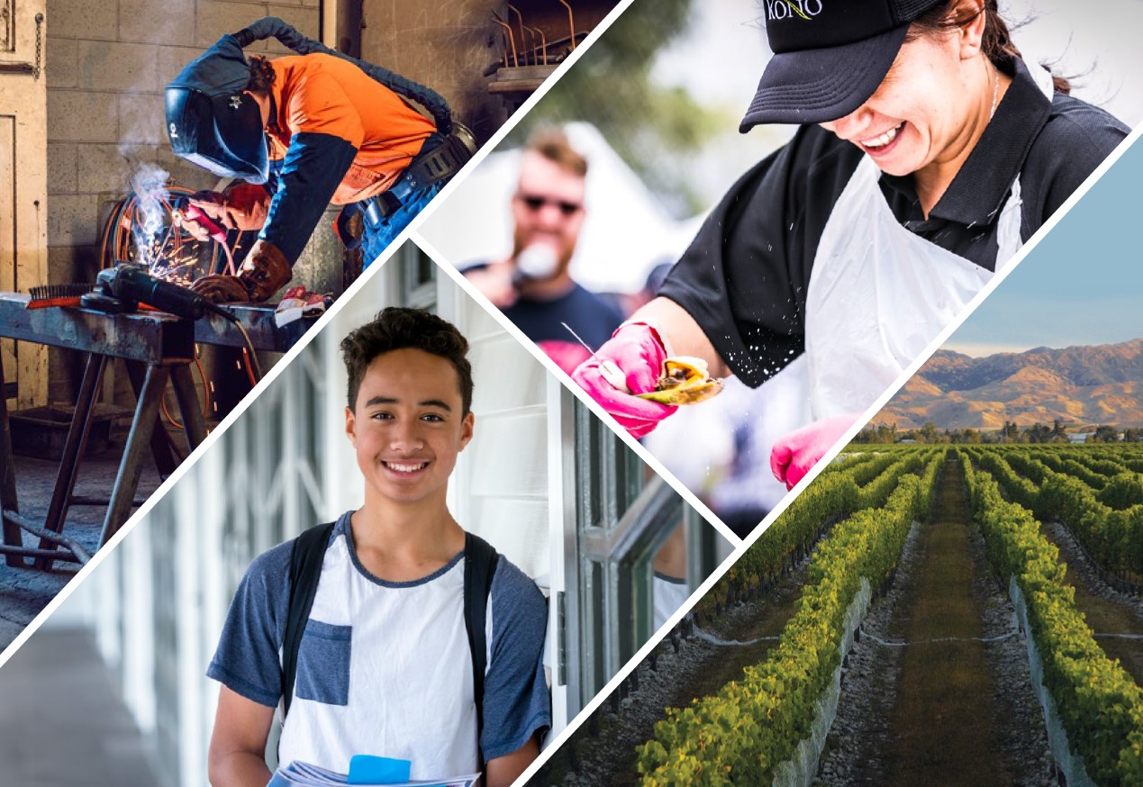 Port Marlborough worker welding (credit: Port Marlborough); Kono worker shucking mussels (credit: Havelock Mussel Festival); Marlborough vineyard (credit: MarlboroughNZ); Teenager at school.