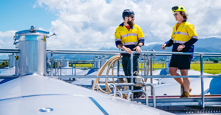 Two workers standing on the top of outdoor wine tanks.