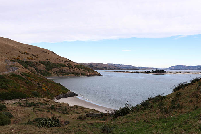 View across steep tussock-covered hills towards a small bay