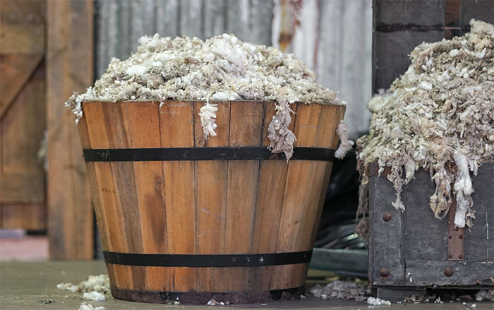 Wooden tub heaped with newly shorn wool