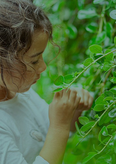 A young girl touches the leaves of a native bush