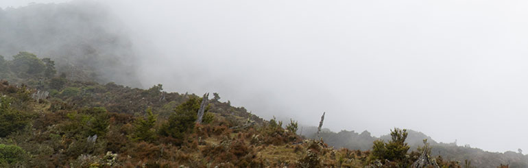 Hikurangi Maunga