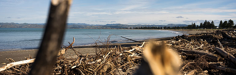 Waikanae Beach