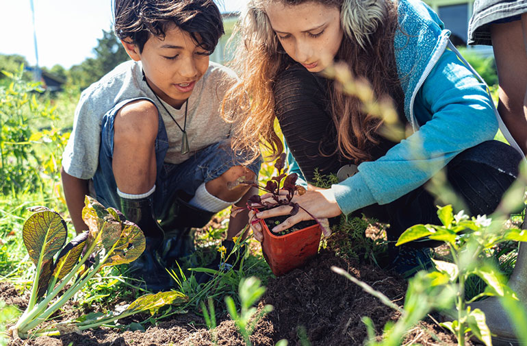 Children planting at Marfell Community Garden.