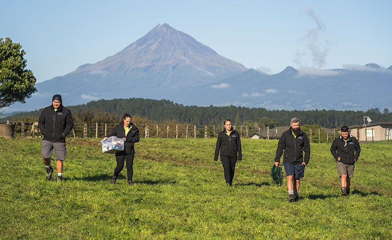 Three men and two women walking in a grassy field towards the camera with Mount Taranaki in the background.