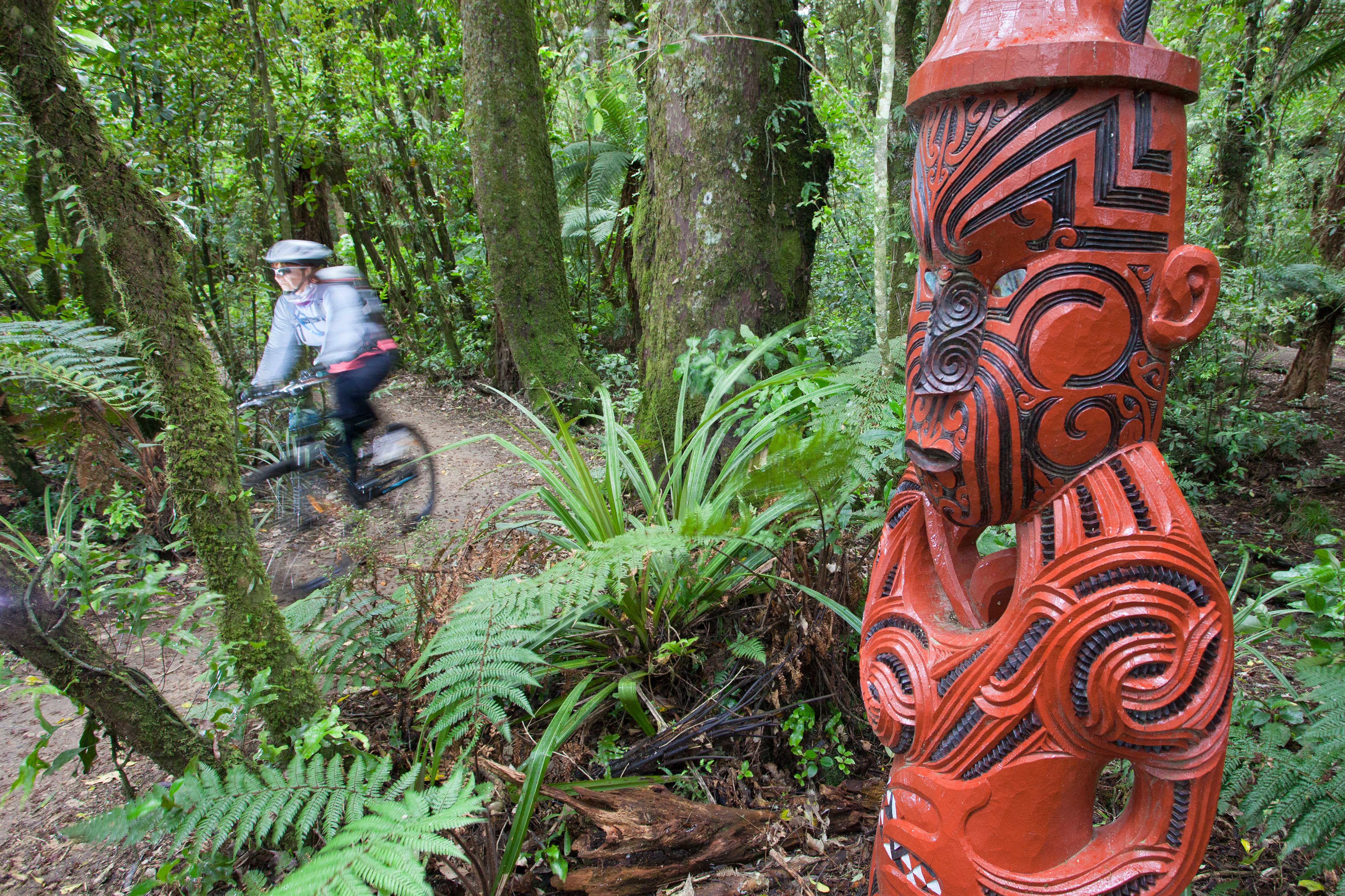 Person riding a bicycle through the forest with a large red Māori carving in the foreground.