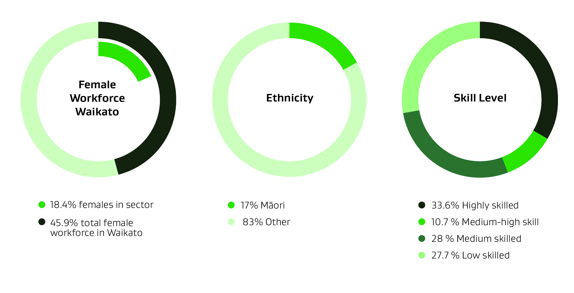 Pie graphs of gender, ethnicity and skill level in construction & infrastructure