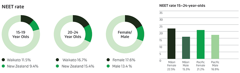 Pie graph of NEET rates and the NEET rate of 15-24 year olds