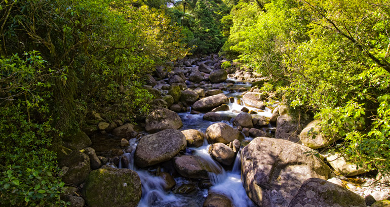 Photo of Wairere falls