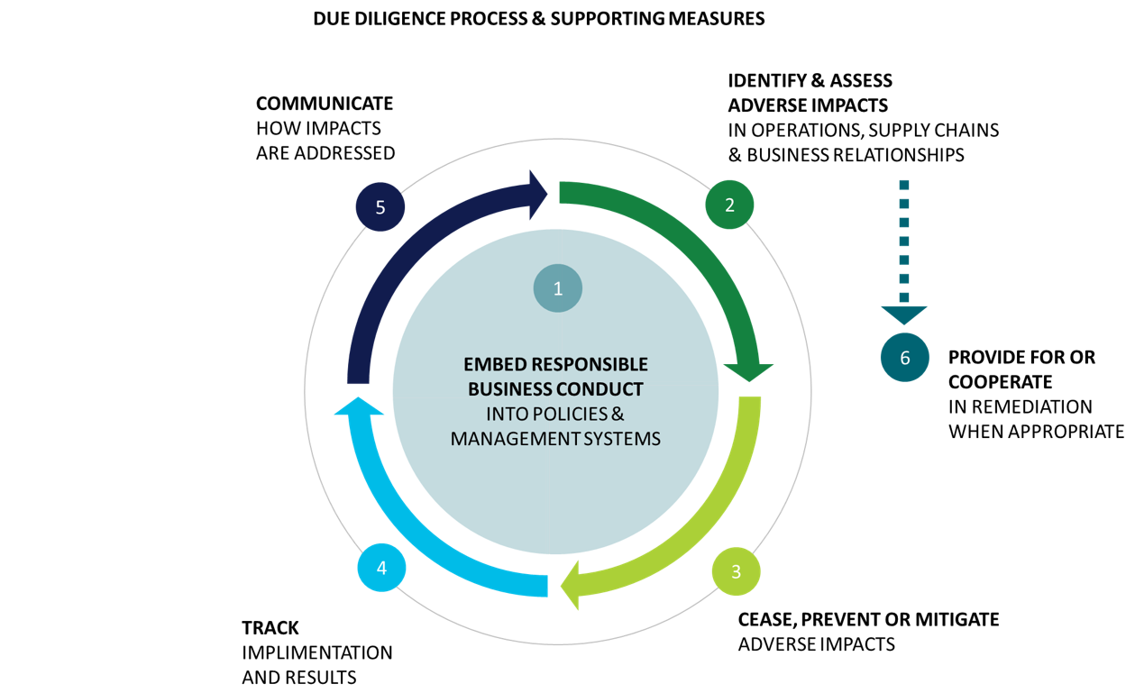 RBC Due Diligence Cycle Image