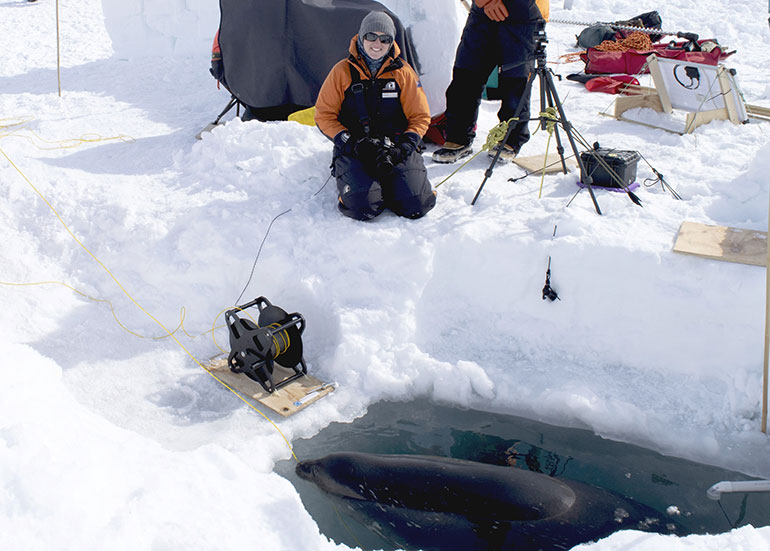 Shanelle Dyer photographing a Weddell seal, Ross Sea, Antarctica. 