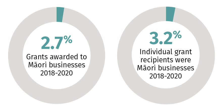 Extra 2 RSI funding Maori