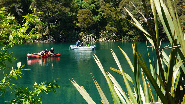 Two boats with 3 people in each sit on a still Lake. In the foreground the image is framed either side by a flax bush and another type of plant.