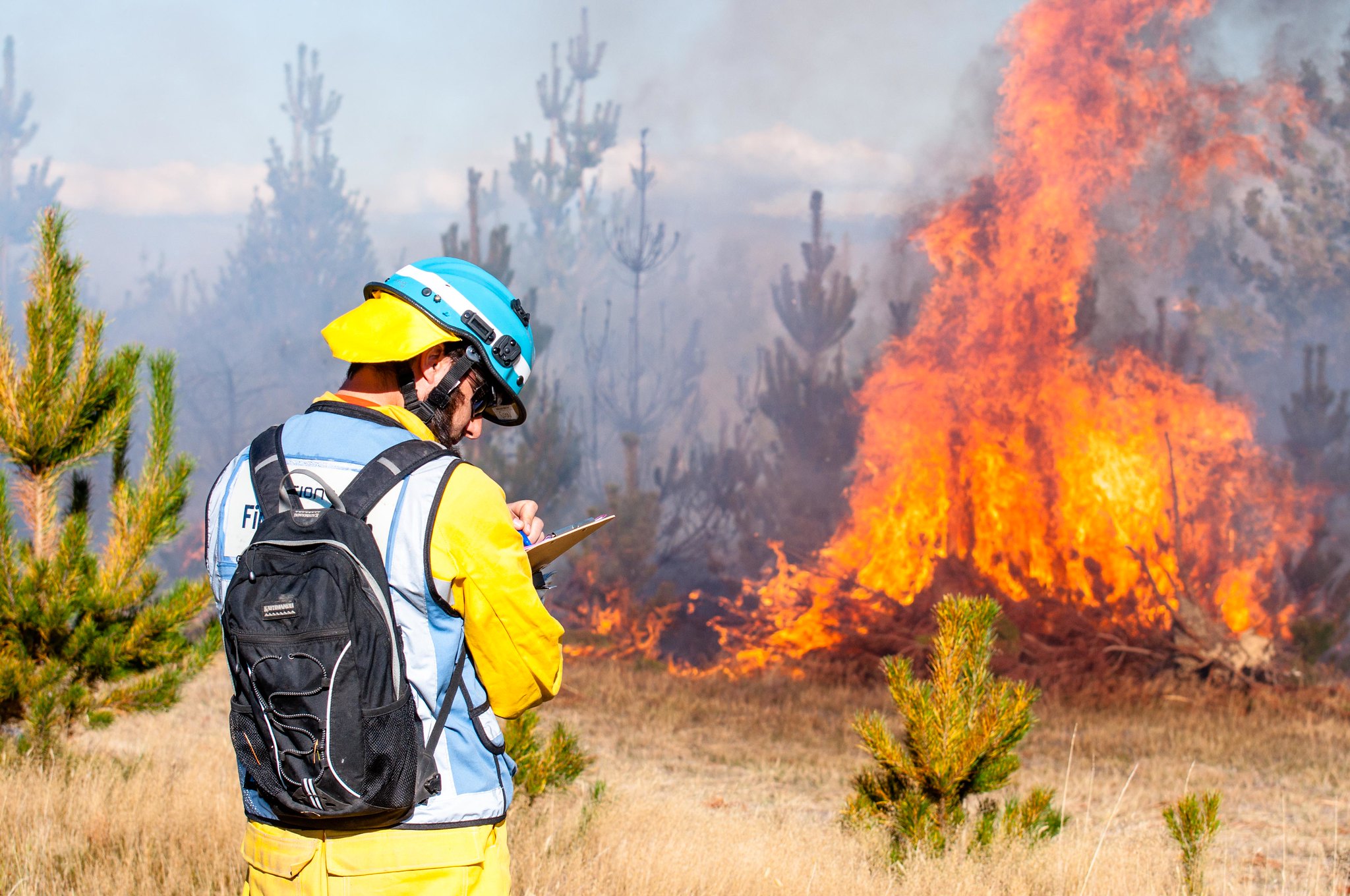 Fire researcher standing in front of a wildfire writing notes on a clipboard