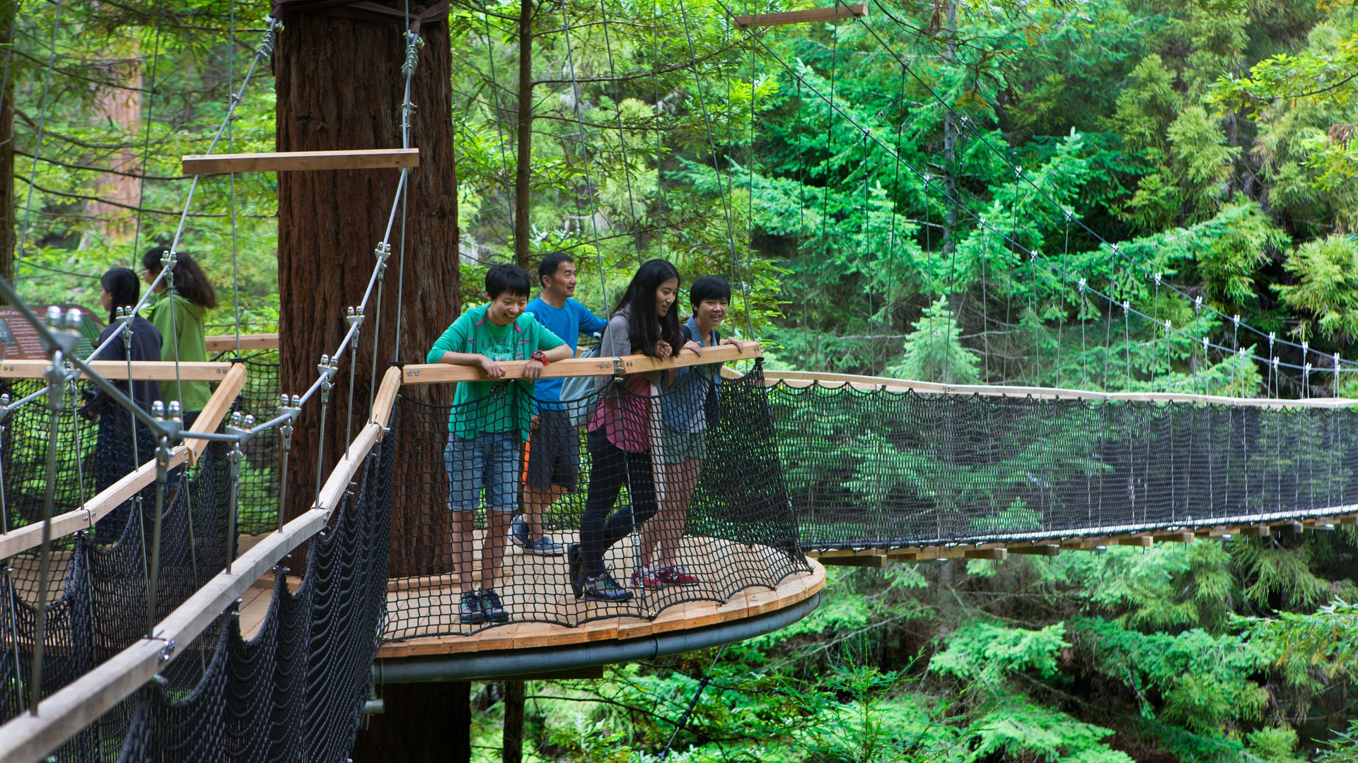 tourism projects landing page redwoods treewalk rotorua