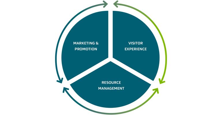 Circular diagram showing the 3 interdependent components of DM.