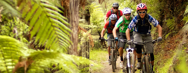 Group of mountain bikers riding a bush track.