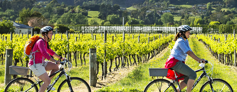 Two people cycling by vineyard.