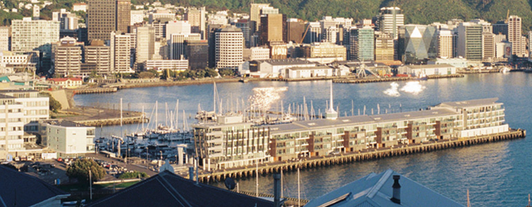 Wellington harbour from from above.