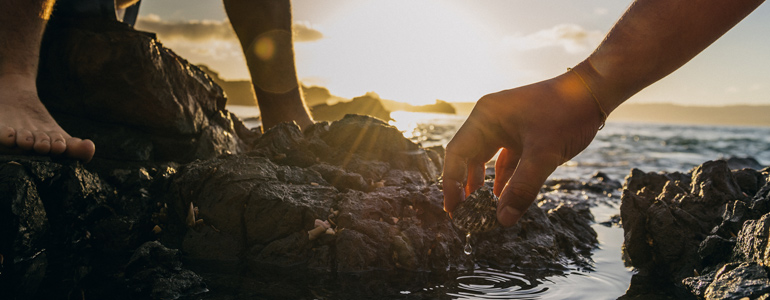 hand gathering shellfish 770x300