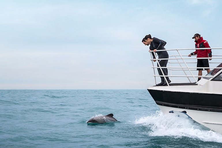 3 people looking over the bow of a boat in Akaroa harbour watching Hectors dolphins. 