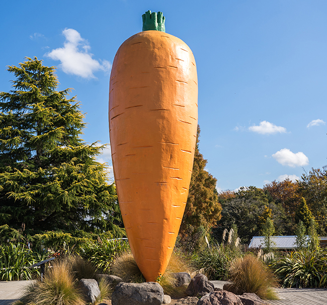 A large statue of a carrot.